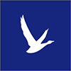 grey-goose